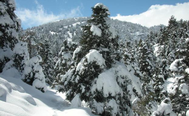 La Churrera Casa Rural Yunquera المظهر الخارجي الصورة